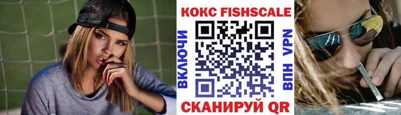 Cocaine Fish Scale  даркнет состав  Новое Девяткино 