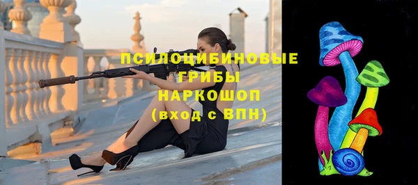 мет Медвежьегорск