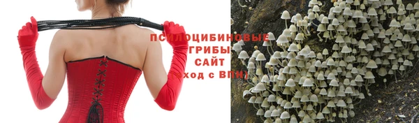 бутират Медногорск