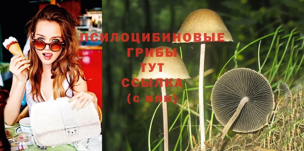 бутират Медногорск