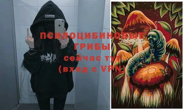 мет Медвежьегорск