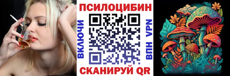 что такое   Новое Девяткино  Псилоцибиновые грибы Magic Shrooms 
